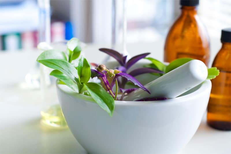 Phytothérapie : 8 plantes pour la perte de poids