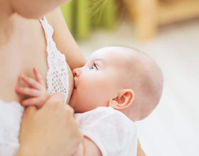 Lait maternel et microbiote : ces sucres invisibles qui programment l’immunité de votre bébé