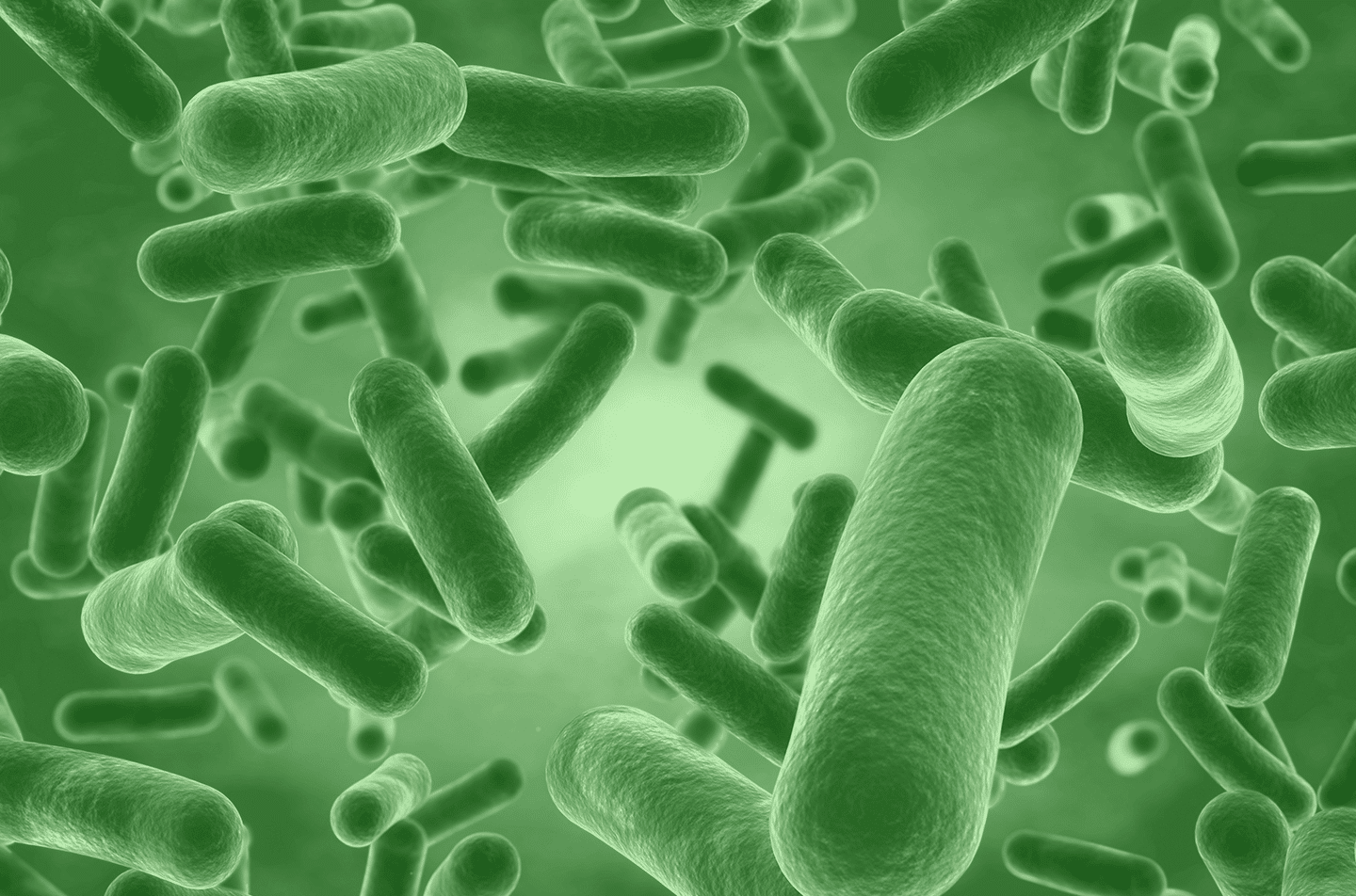 Efficacité des probiotiques : 14 problèmes de santé qu’ils peuvent améliorer