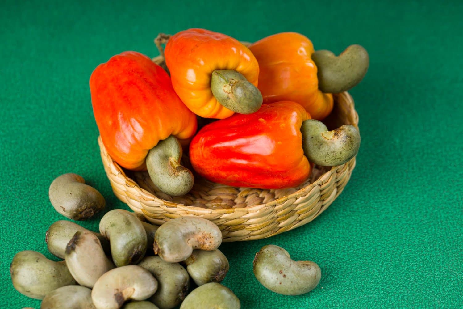 Anacardium orientale : troubles digestifs, cutanés et surmenage