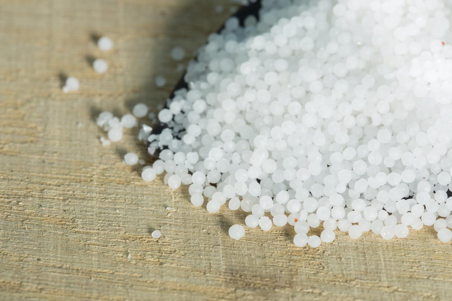 Causticum : le remède d’action générale incontournable en homéopathie