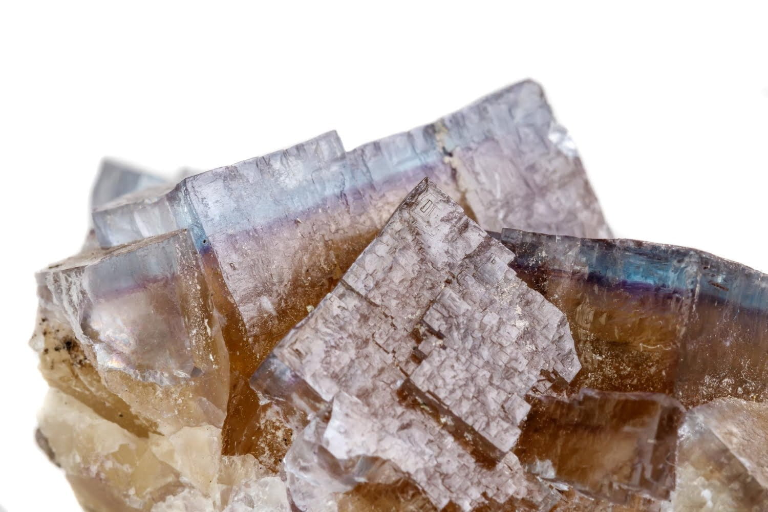 Fluoricum acidum : un remède inattendu aux multiples facettes