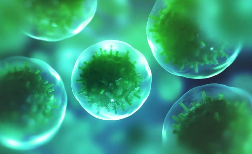 Les probiotiques : Et en plus, ils améliorent votre humeur et votre bien-être