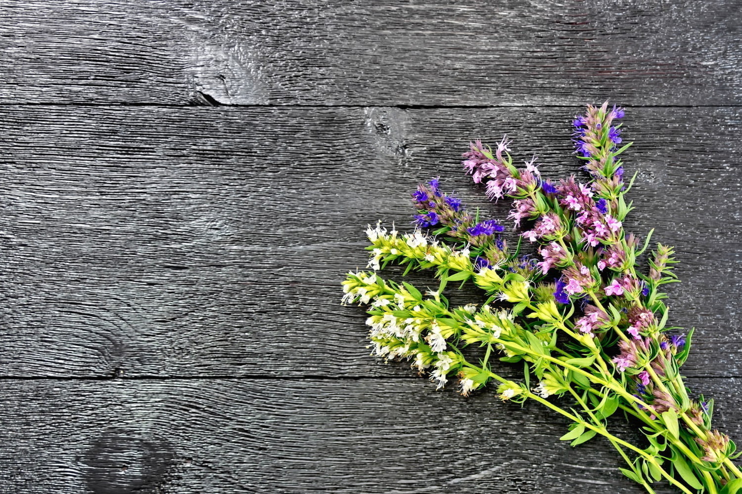 Dans quels cas employer l’huile essentielle de sarriette des jardins ?