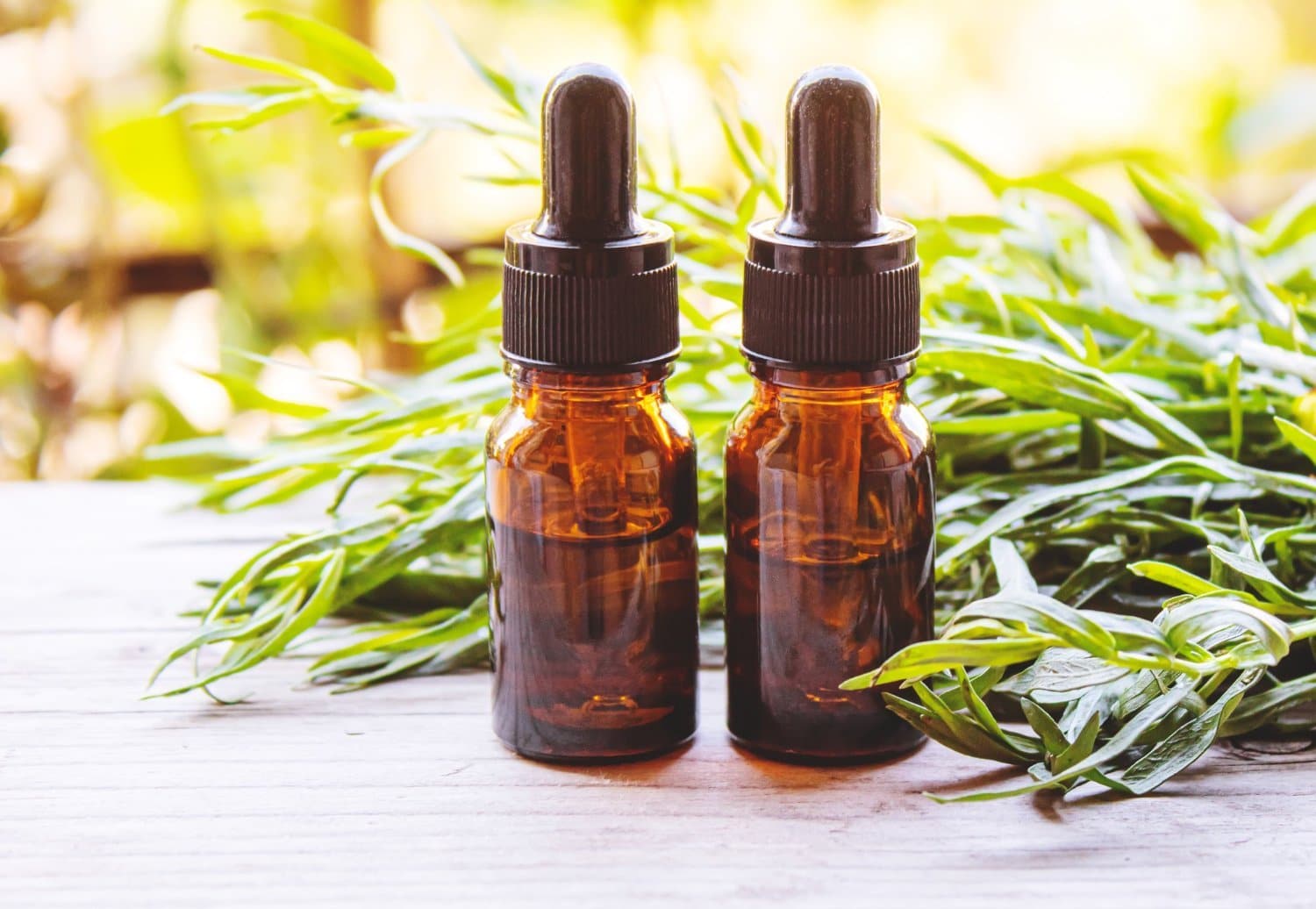 Quels sont les usages médicinaux de l’huile essentielle d’estragon ?