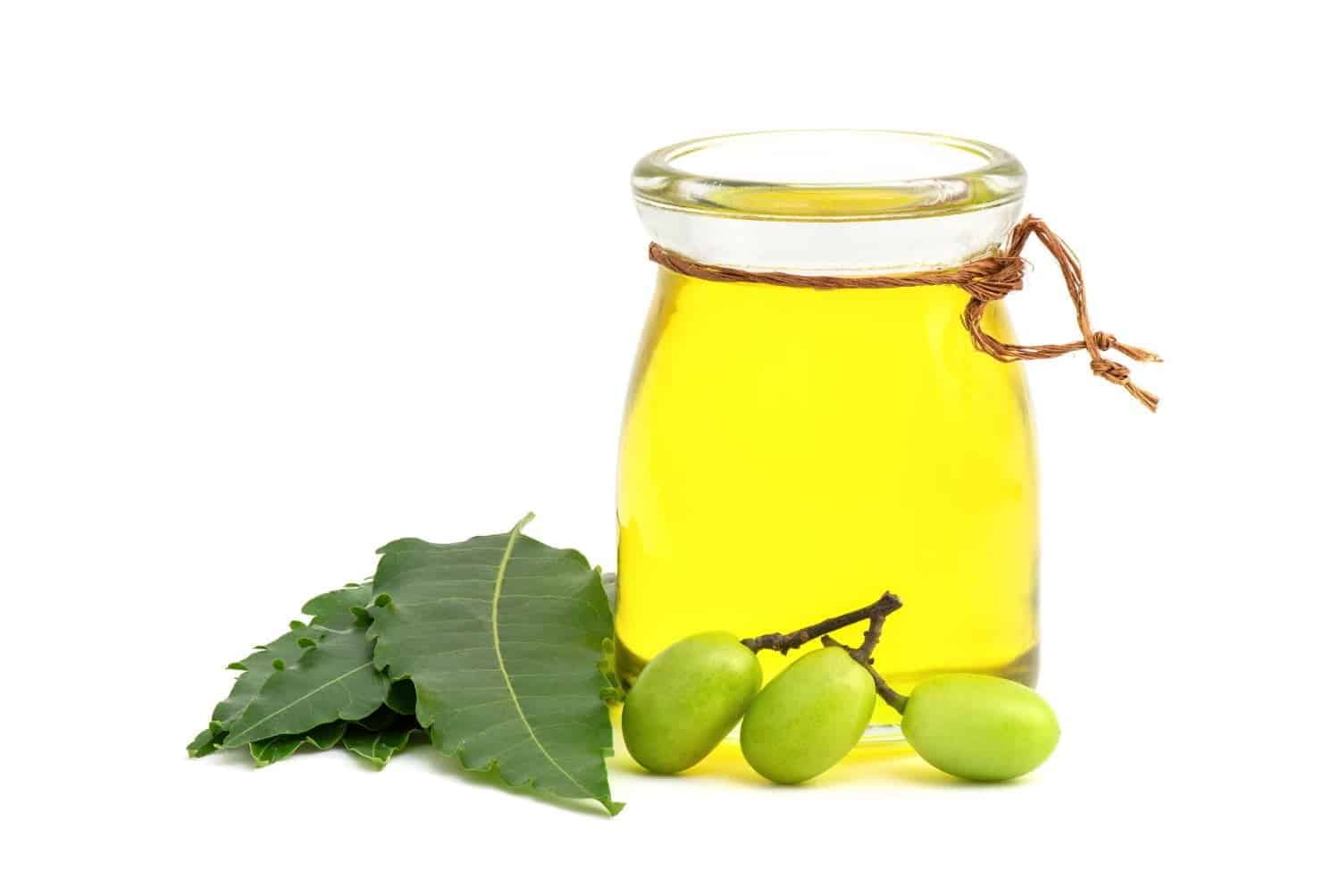 Huile de neem : un trésor naturel aux multiples vertus