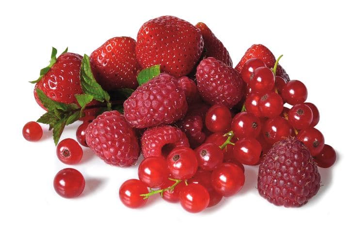 9 aliments à manger plus souvent après 60 ans pour la santé et la longévité