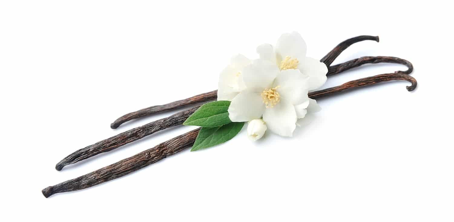 Pouvez-vous utiliser de l’huile essentielle de vanille absolue ?