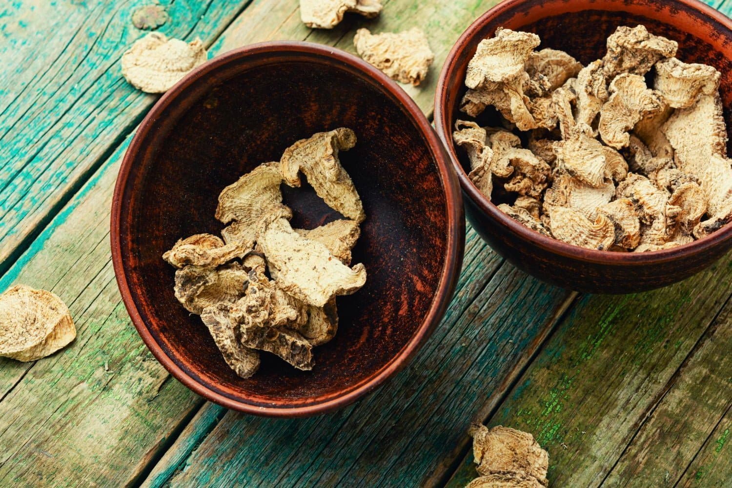 Tout savoir sur la bryone : origine, propriétés et prudence à l’usage