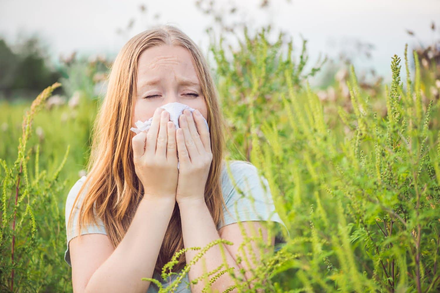 Prévention des allergies alimentaires : des œufs aux nourrissons