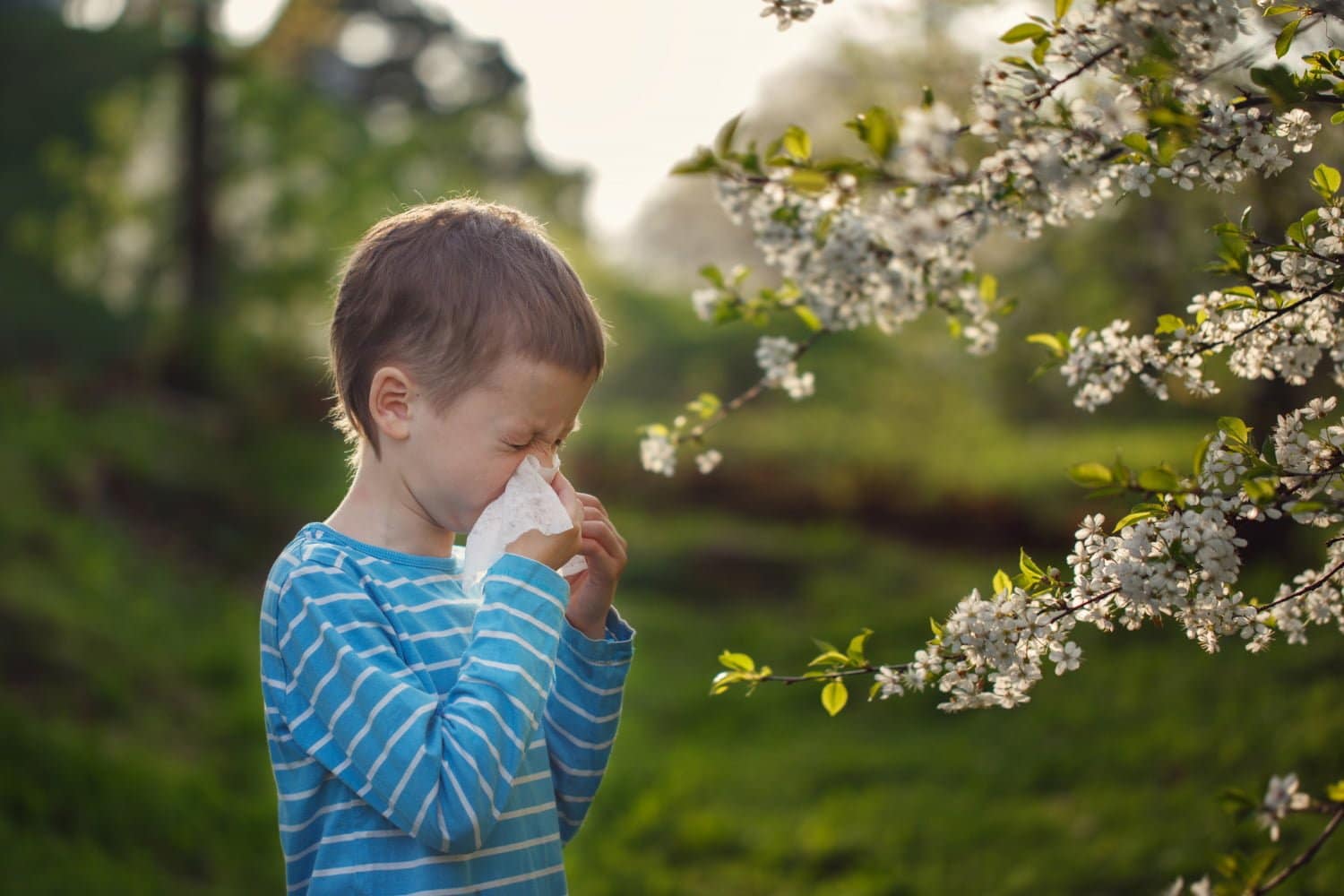 Allergies de saison : prévenir et apaiser les yeux gonflés