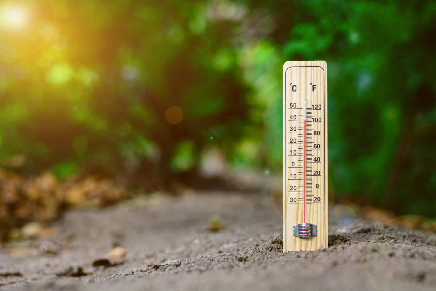 Canicule: 5 gestes simples pour baisser la température à la maison