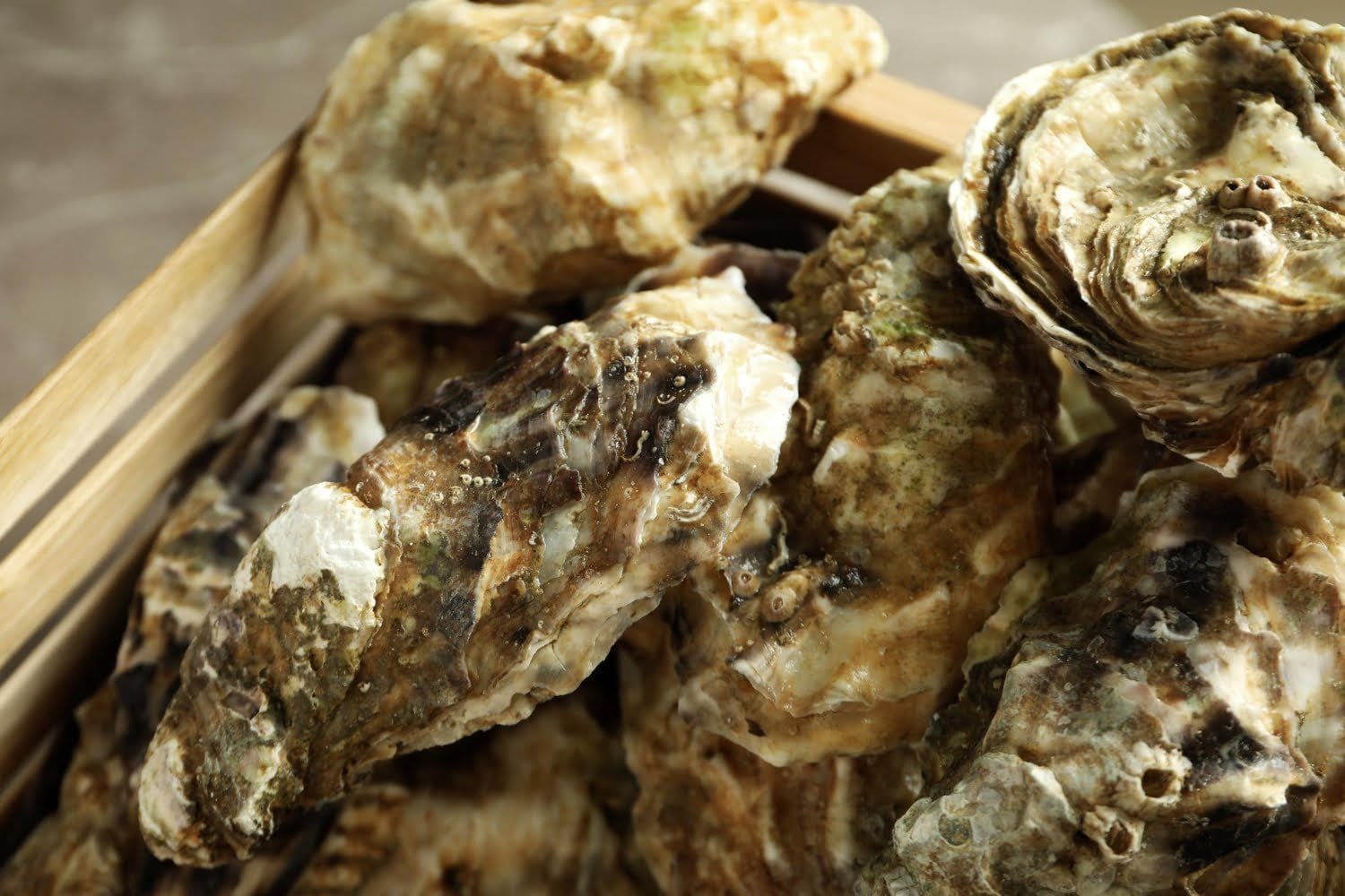 Hepar sulfur : contre les infections purulentes et les inflammations douloureuses