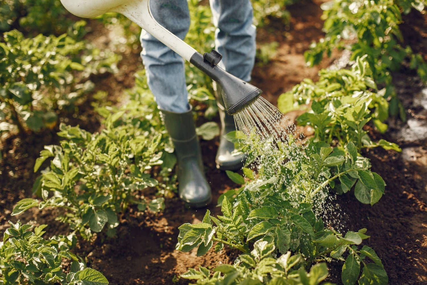 L’automne rime avec rentrée, mais rime aussi avec jardinage.