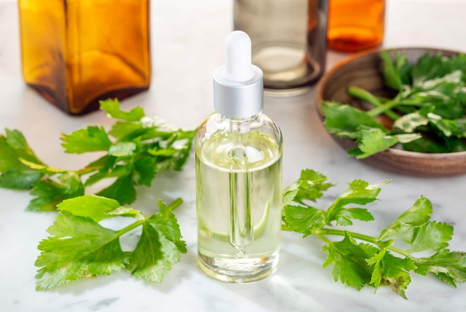 Huile essentielle de céleri : des propriétés santé-beauté
