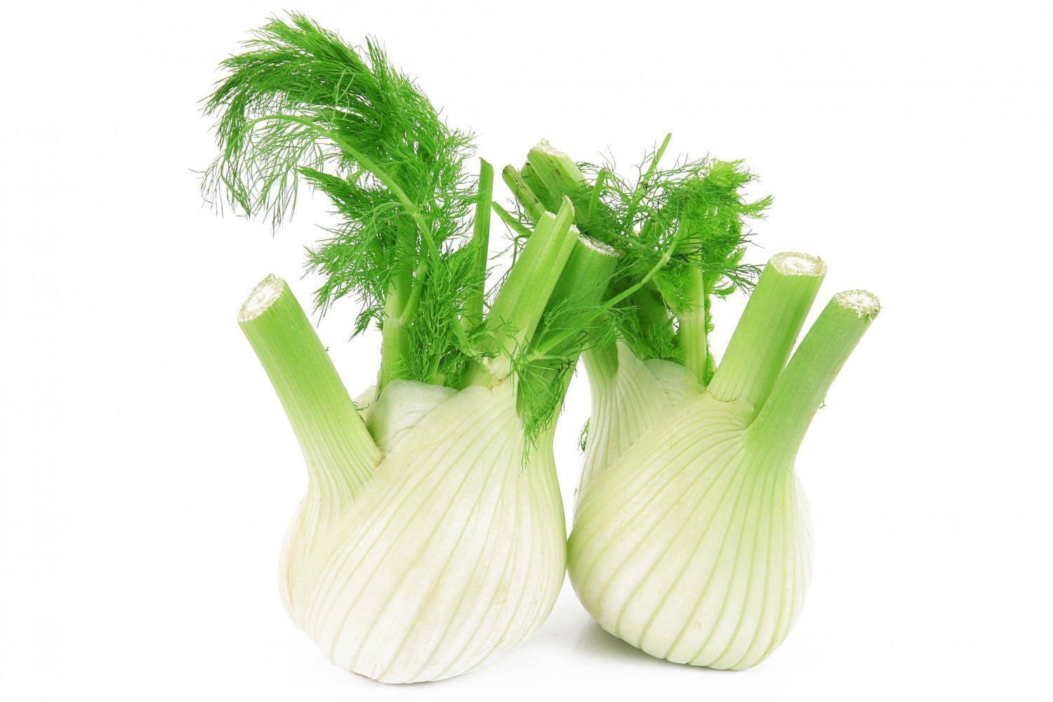 Comprendre l’huile essentielle de fenouil doux