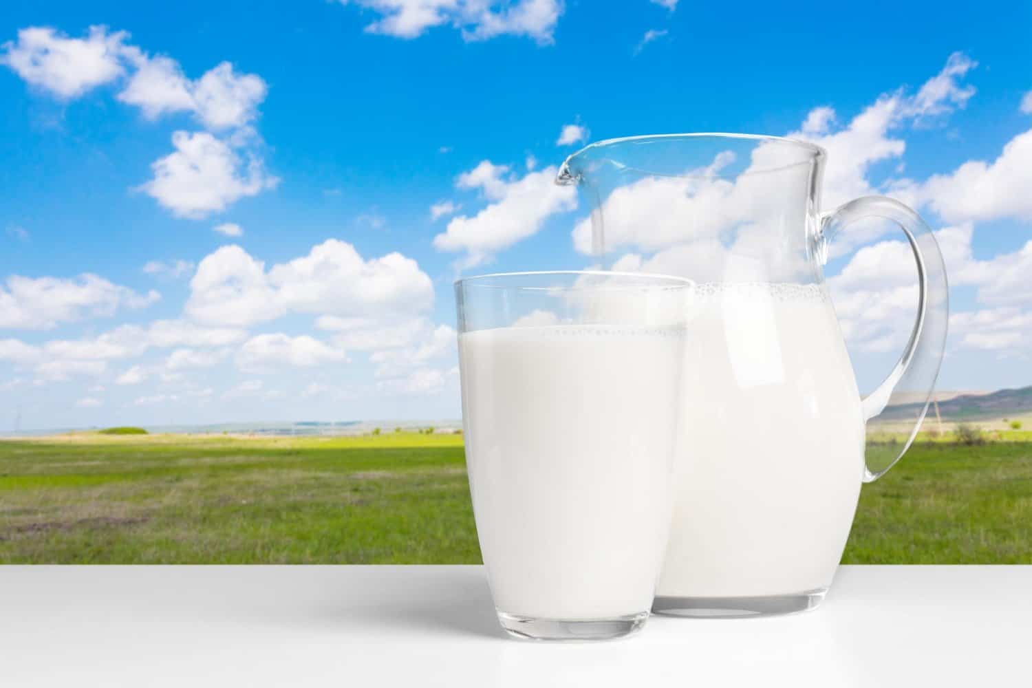 Le lait de riz : histoire et propriétés
