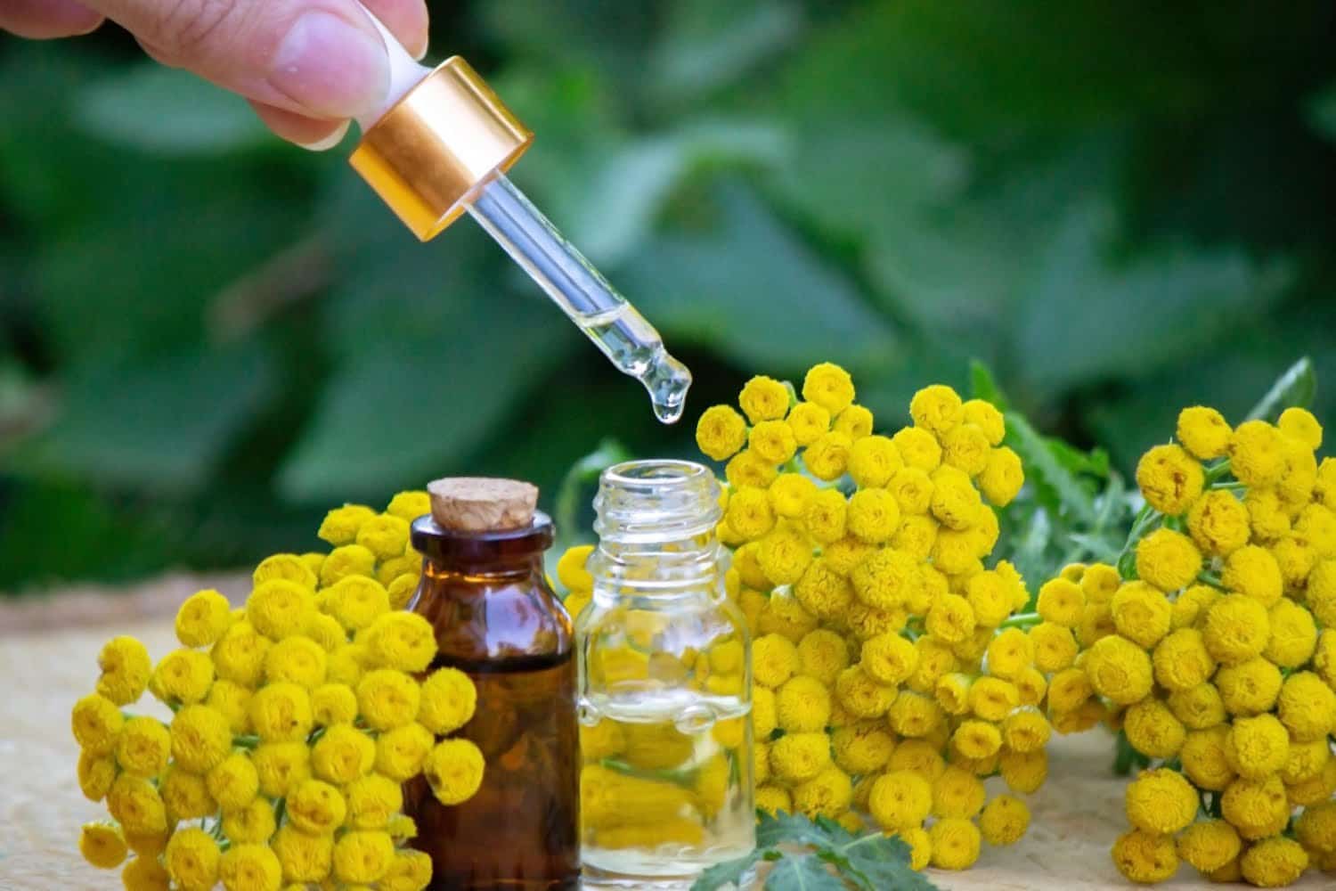 Voici comment utiliser l’huile essentielle d’immortelle