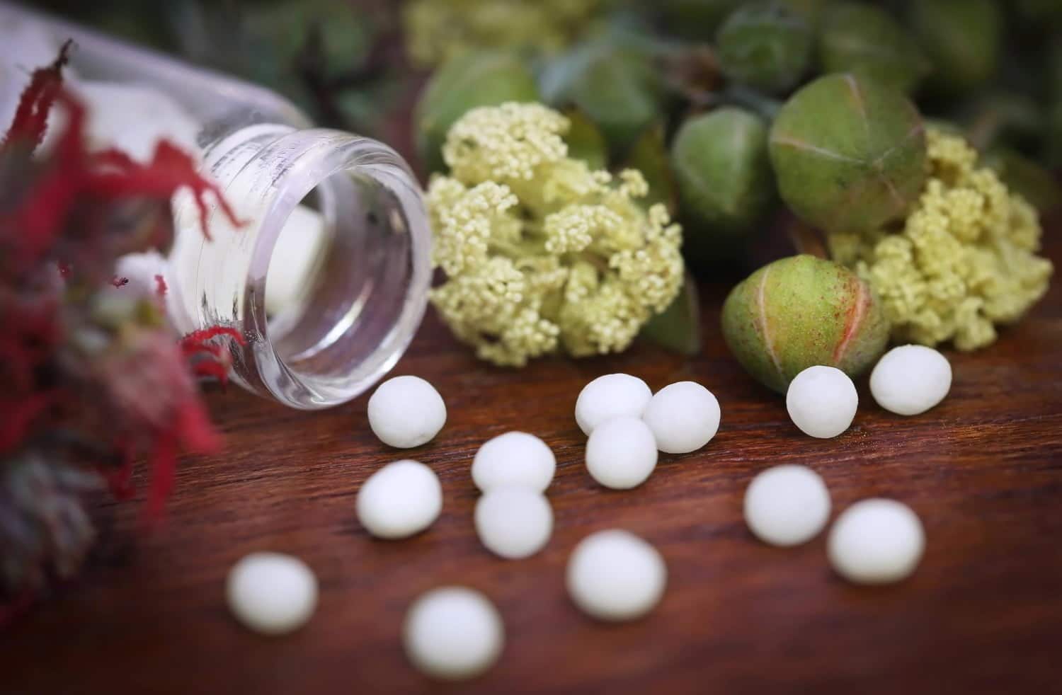 Homéopathie: Boiron et Rocal réagissent au rejet des recours par le Conseil d’Etat