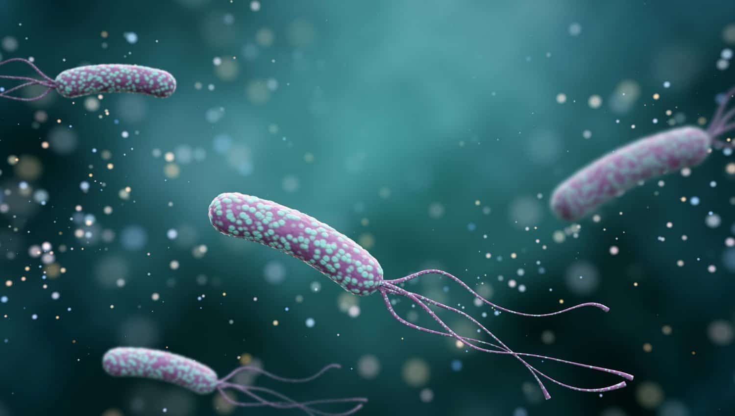 Cette bactérie est le pathogène responsable du plus grand nombre de cas de cancer mondiaux
