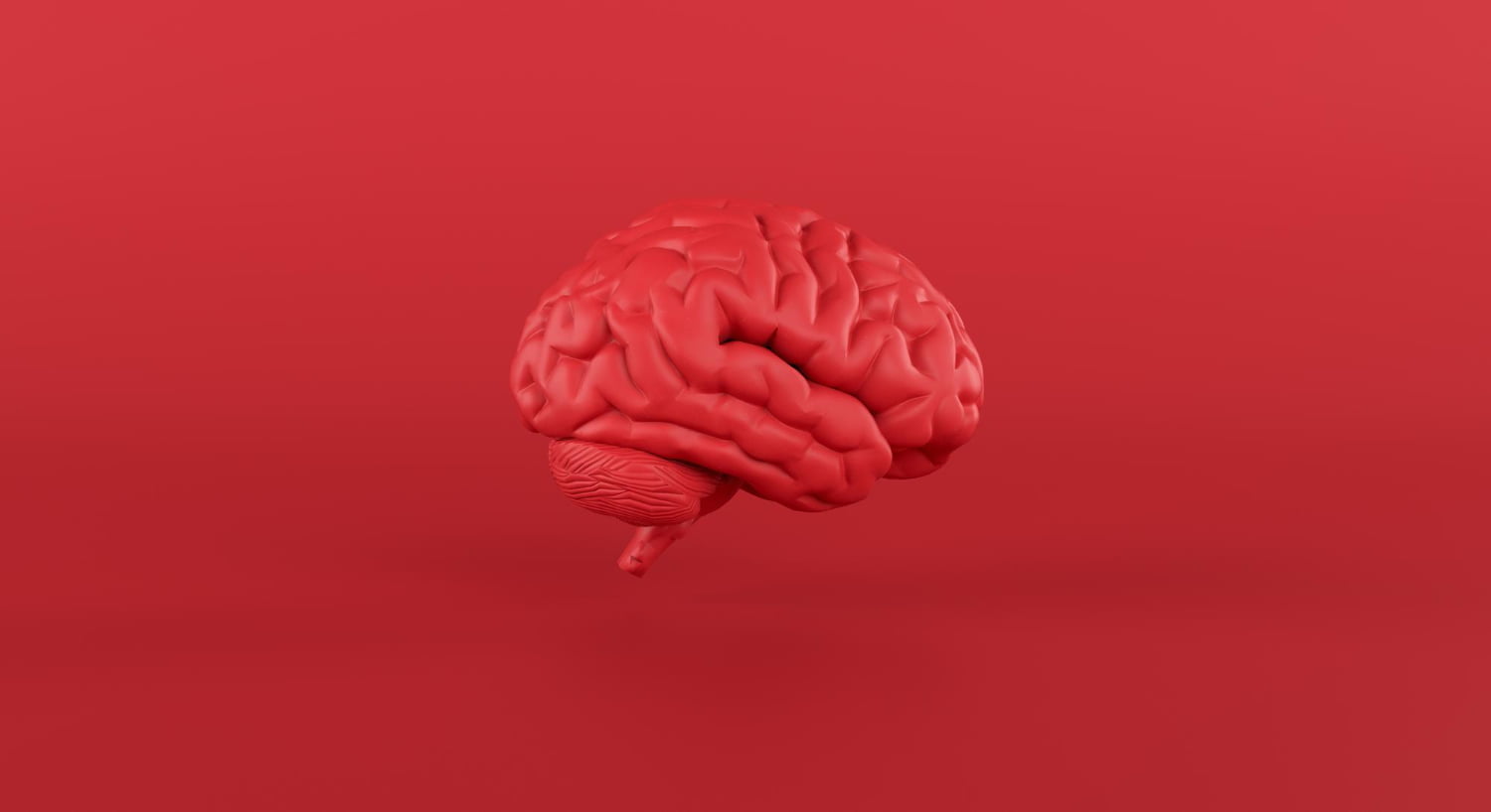 Méditer modifie le cerveau et vous change la vie