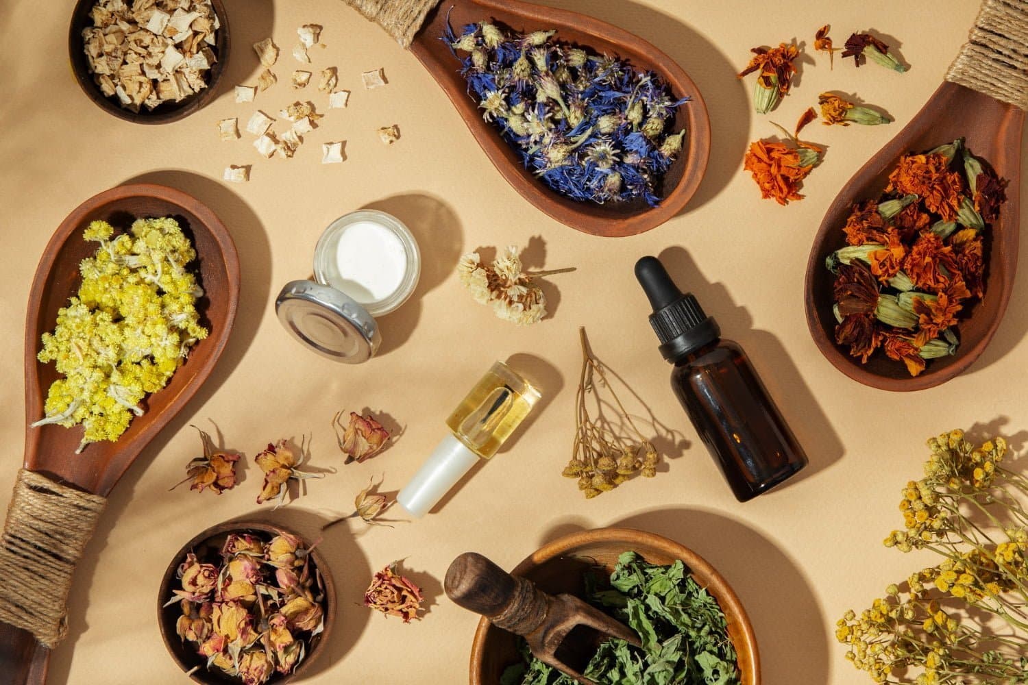 Comment s’utilise la phytothérapie ?