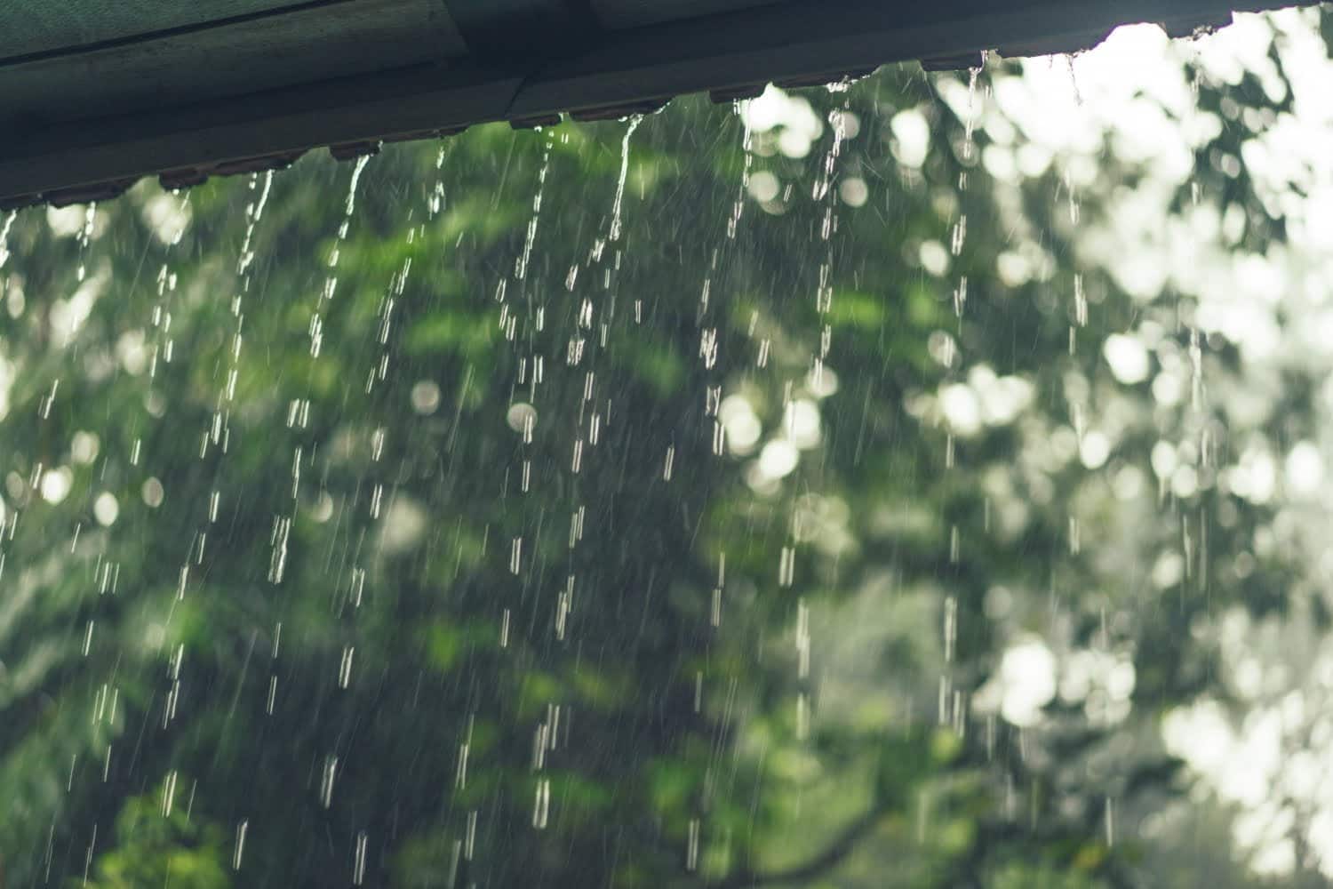Cinq astuces Les jours de pluie, vos vêtements sont mouillés ? Détendez-vous, aujourd’hui vous allez apprendre quelques astuces qui vous aideront à sécher vos vêtements rapidement.