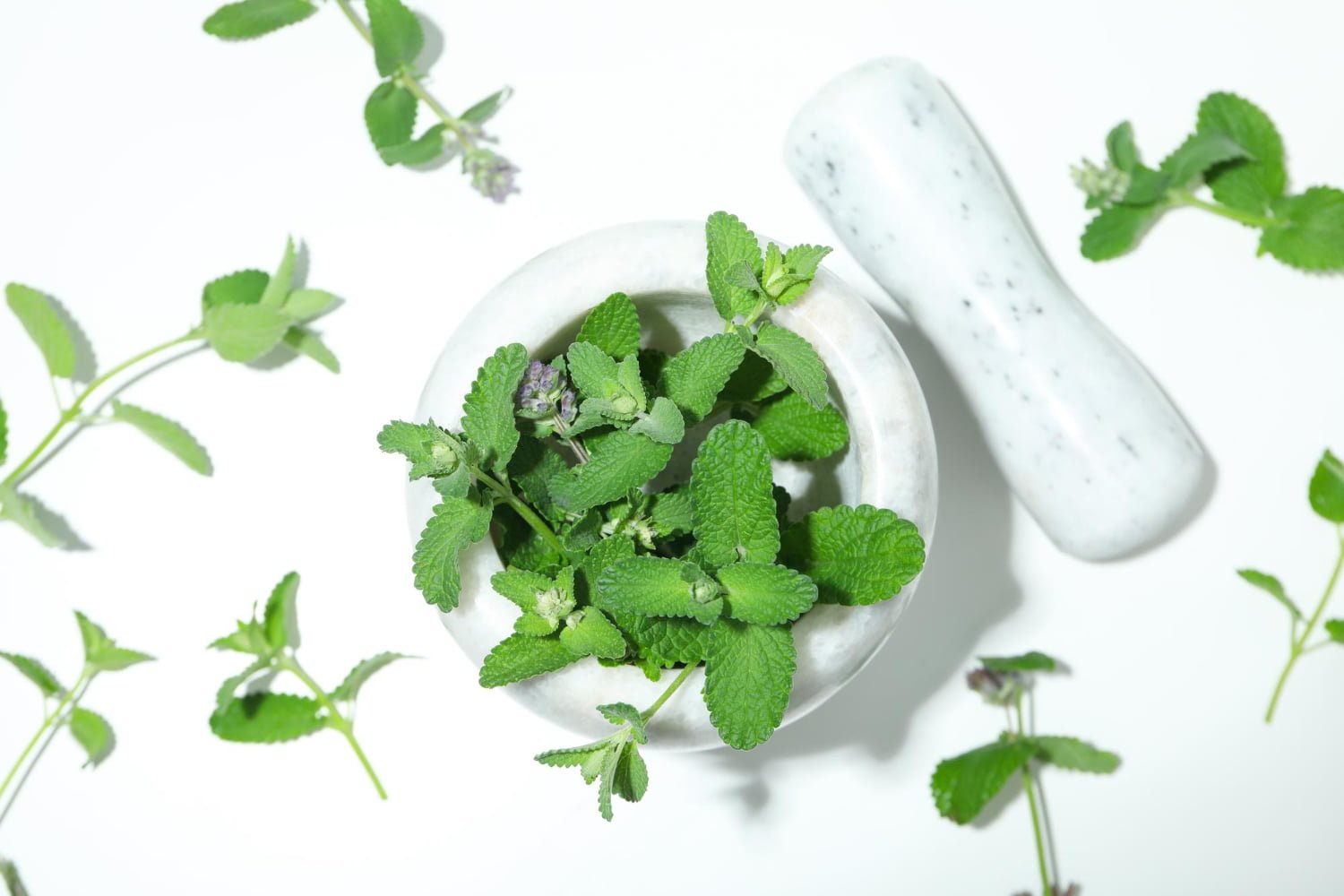 Si vous consommez cette plante tous les jours, vous aurez une santé de fer