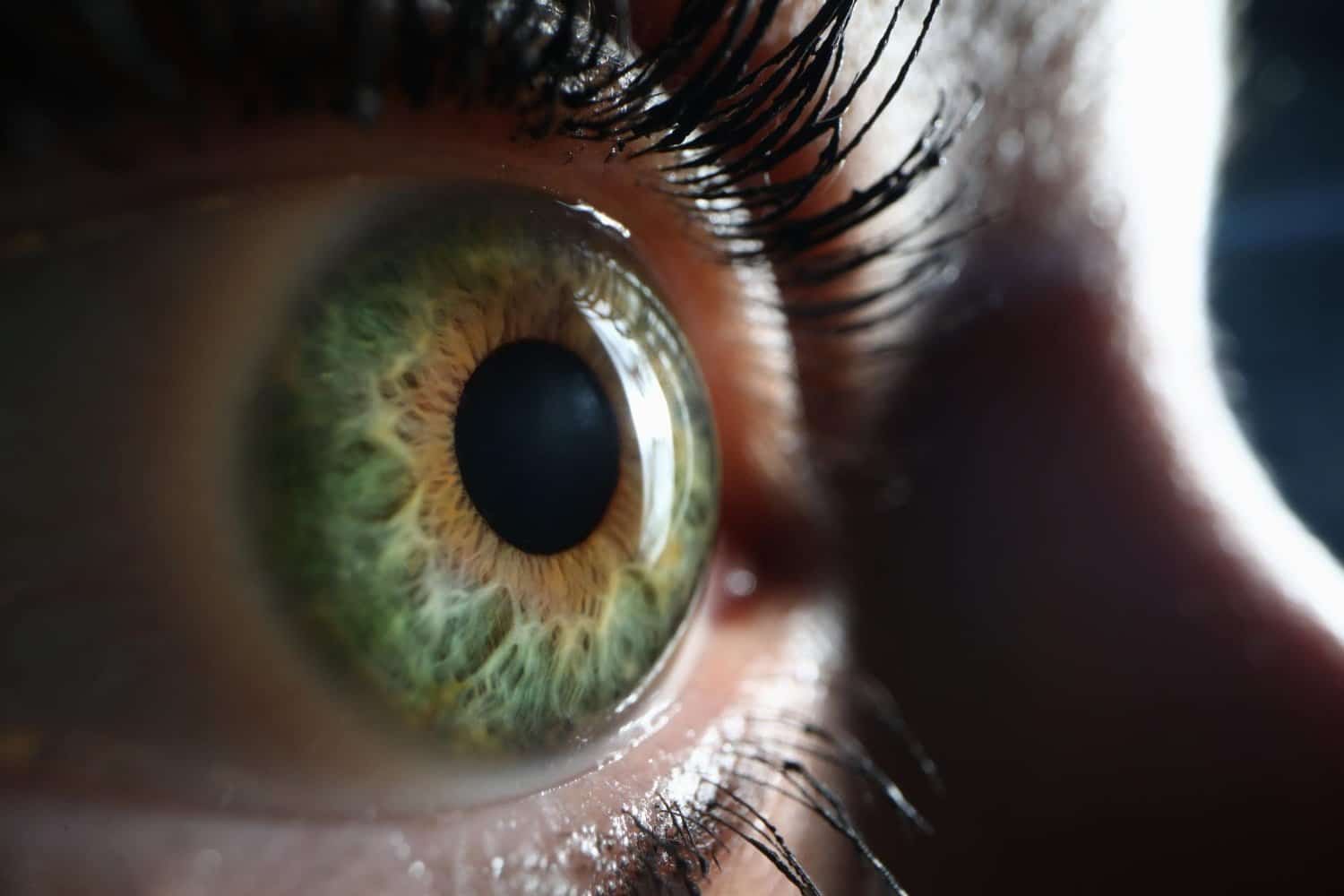 Iridologie : l’iris, le « miroir de notre santé »