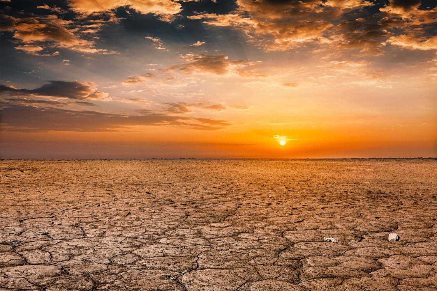 Changement climatique: les canicules et vagues de froid augmentent le risque cardiovasculaire