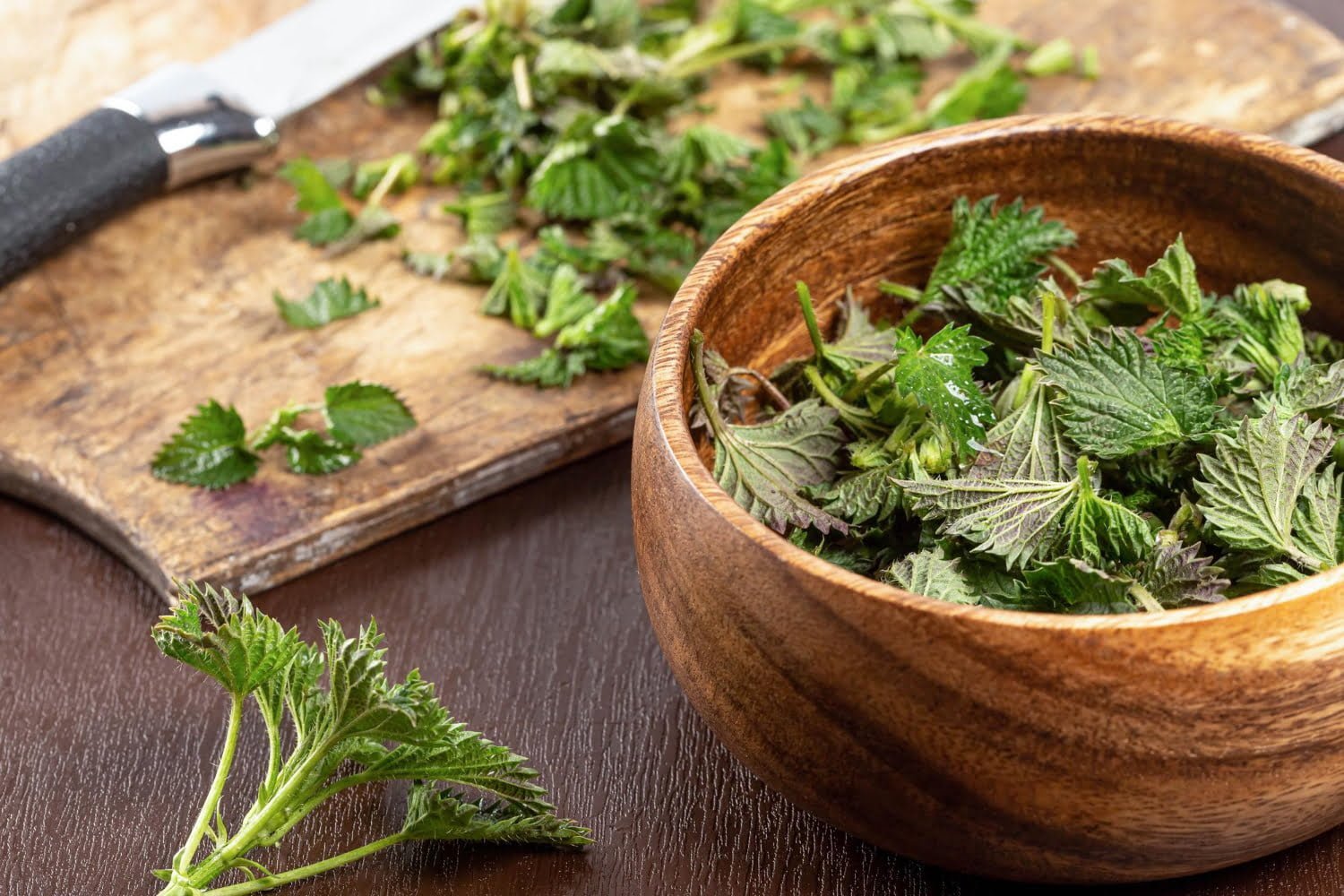 S’initier à la connaissance et l’utilisation des plantes médicinales