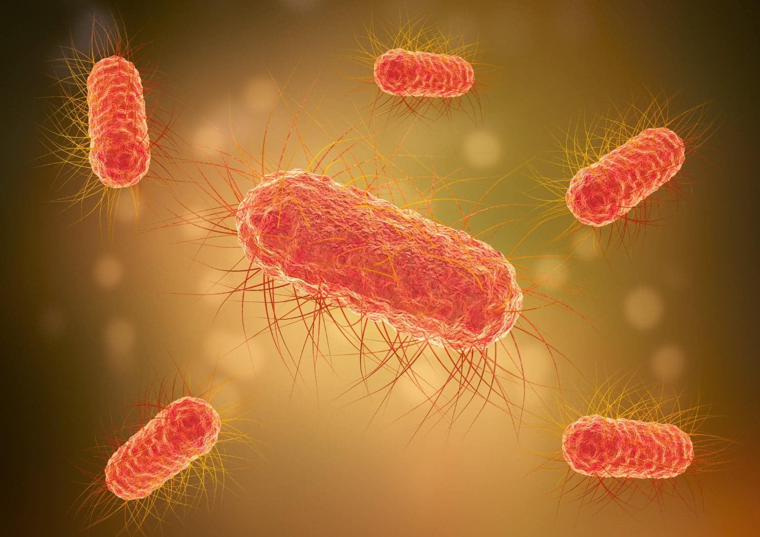 Infection parasitaire: comment la reconnaitre et comment s’en débarrasser naturellement
