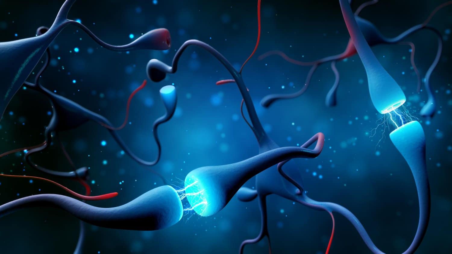 Sérotonine: comment booster naturellement ce neurotransmetteur du bien être
