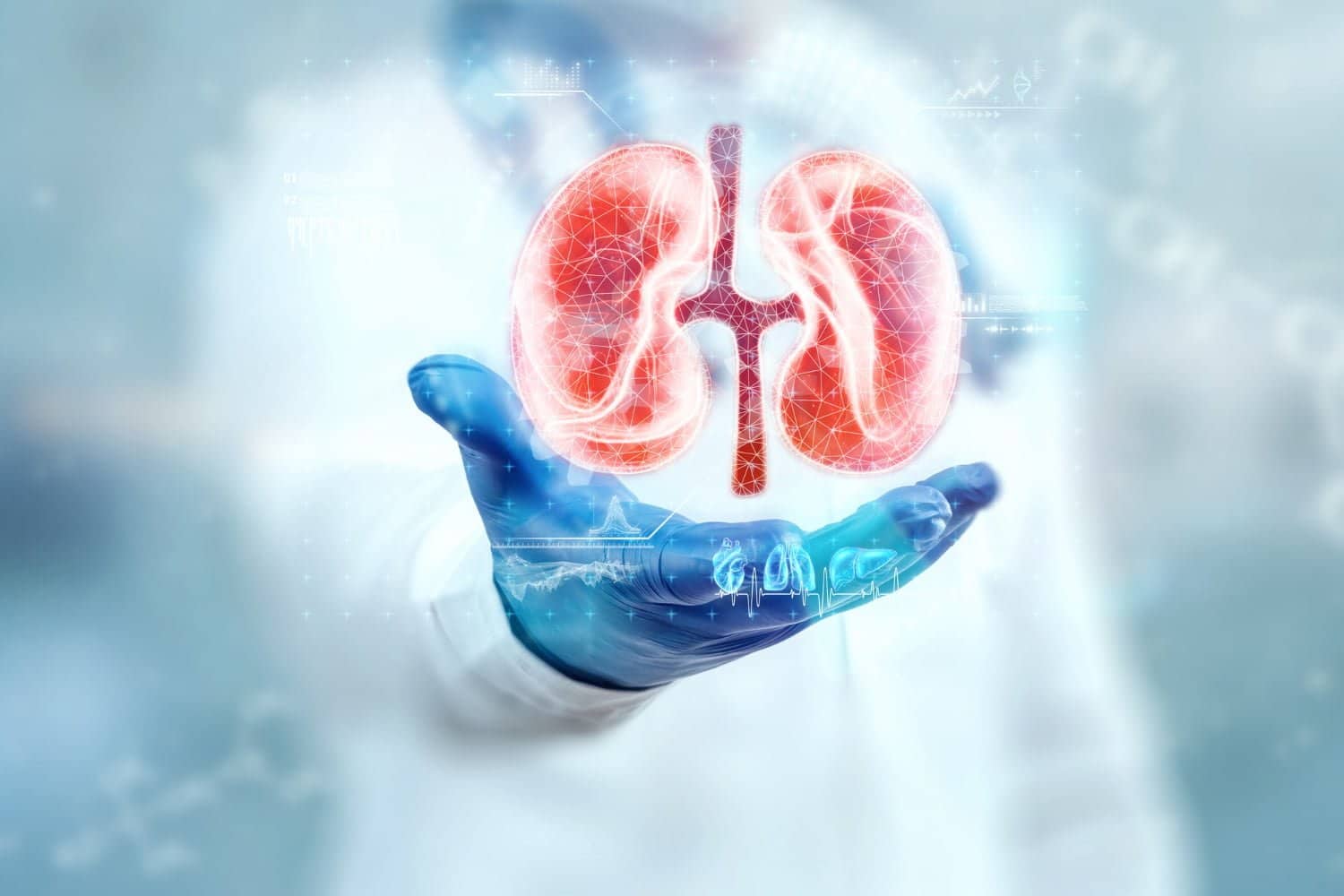 Cancer du rein: symptômes, facteurs de risques et traitement