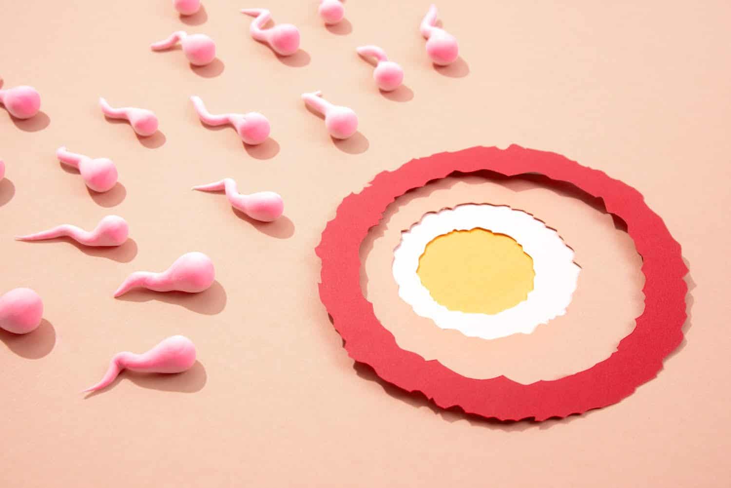 Faible quantité de spermatozoïdes: causes principales, mesures de prévention et solutions