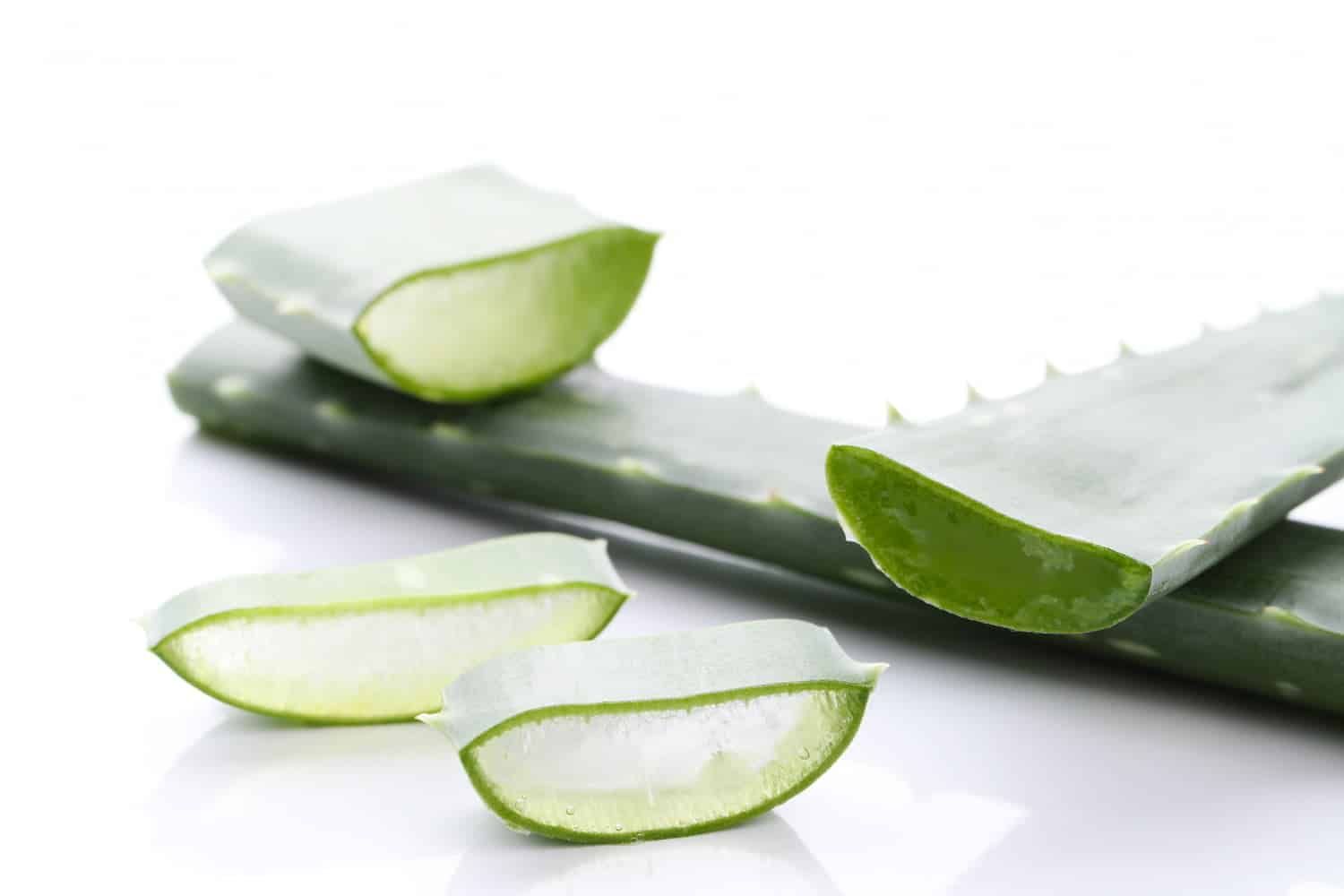Aloe : calmer les conséquences gastro-intestinales des excès de table
