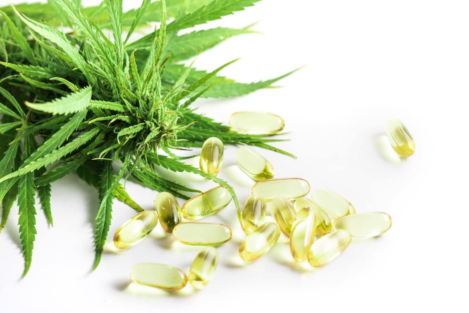 Inflammation chronique : les oméga-3 agissent comme le cannabis