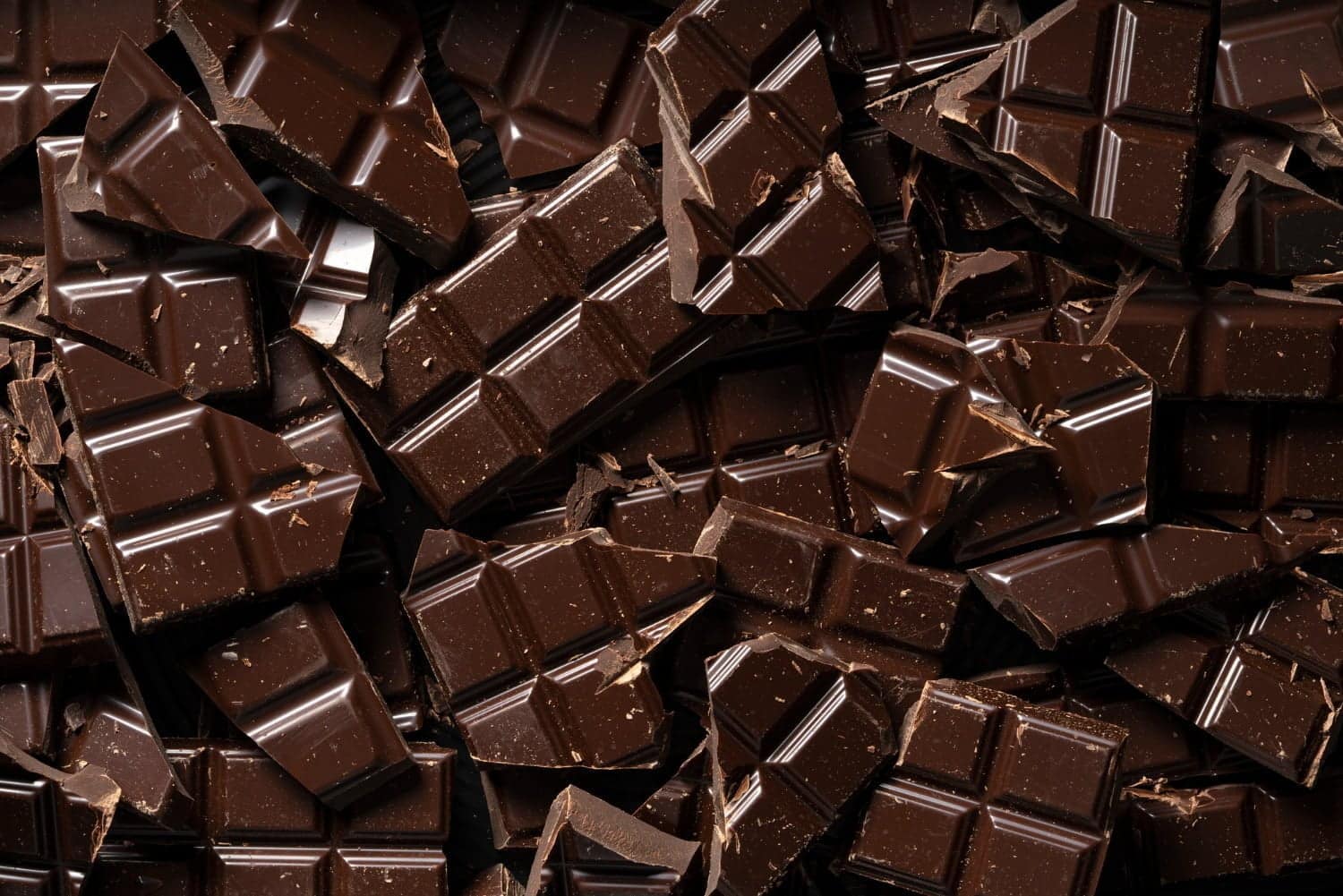Théobromine dans le chocolat noir : lié au ralentissement du vieillissement biologique