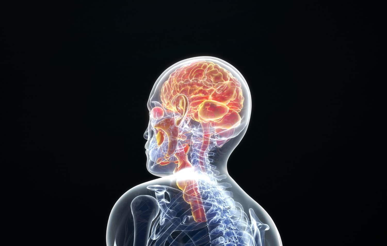 La mémoire sensorielle: pourquoi stimuler ses sens pour entretenir sa mémoire