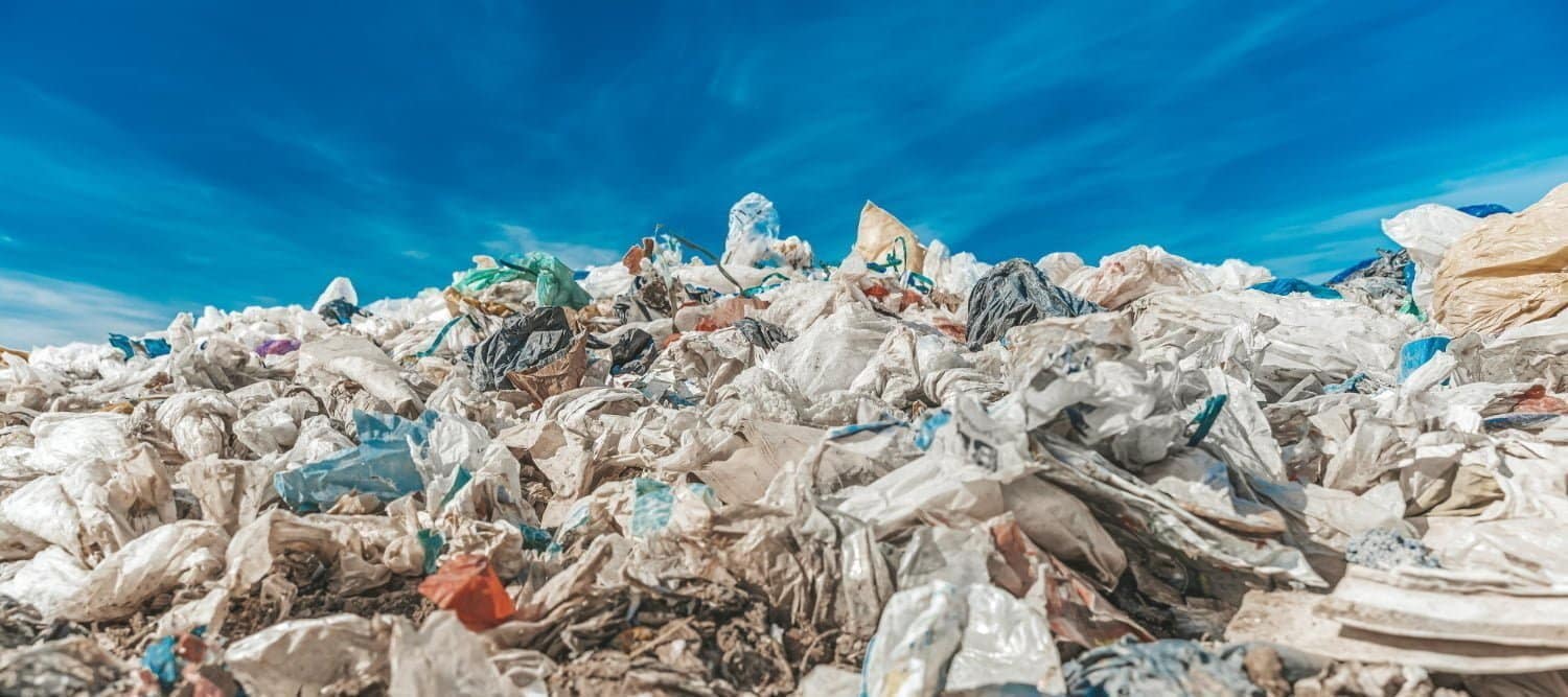 Pollution : nous mangeons du plastique