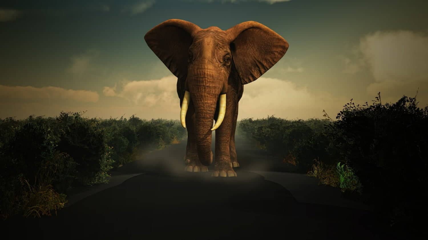 Cancer : les éléphants ont moins cancer que nous, sauf s’ils fument