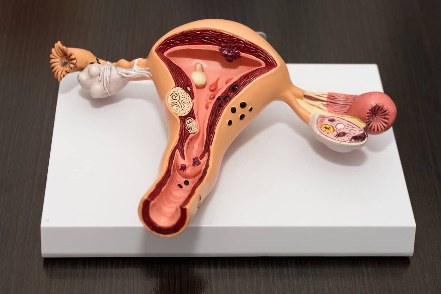 Hygiène intime : 8 règles pour un vagin sain