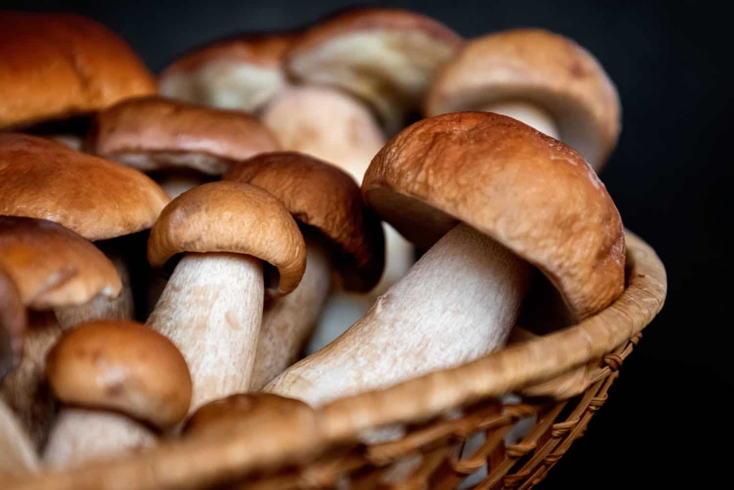 Introduire cet aliment dans votre petit-déjeuner vous évitera les fringales tout au long de la journée