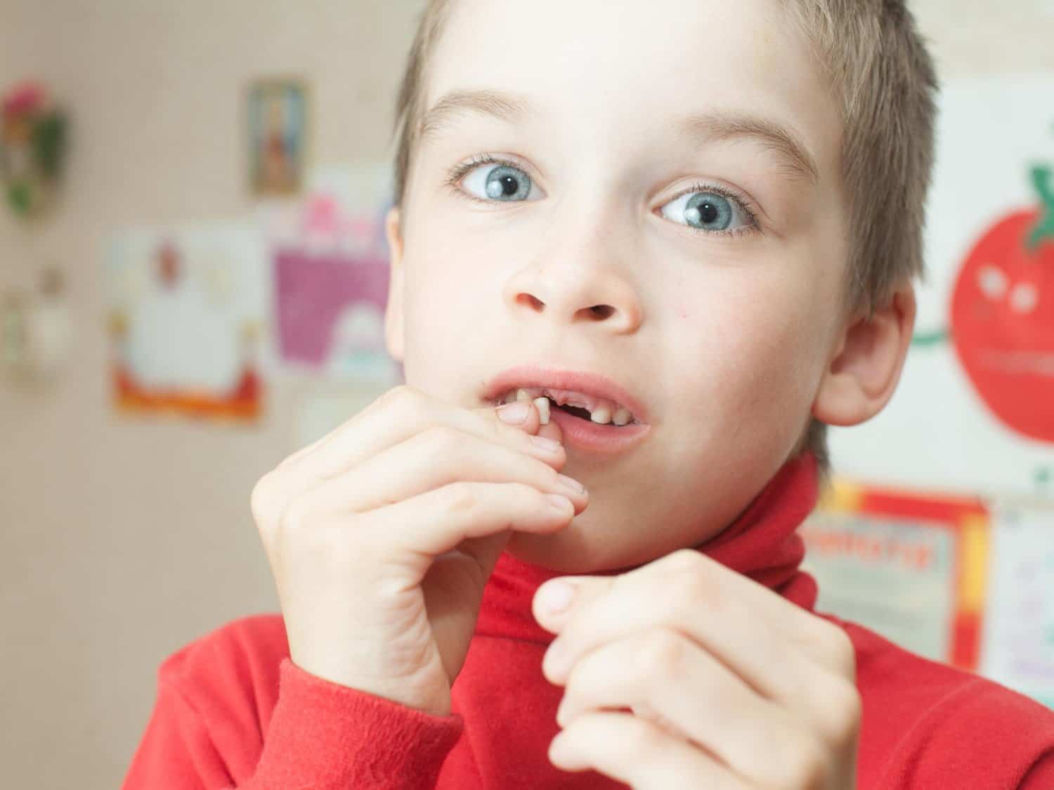 Dents de lait et cerveau : ce que révèlent les métaux précoces