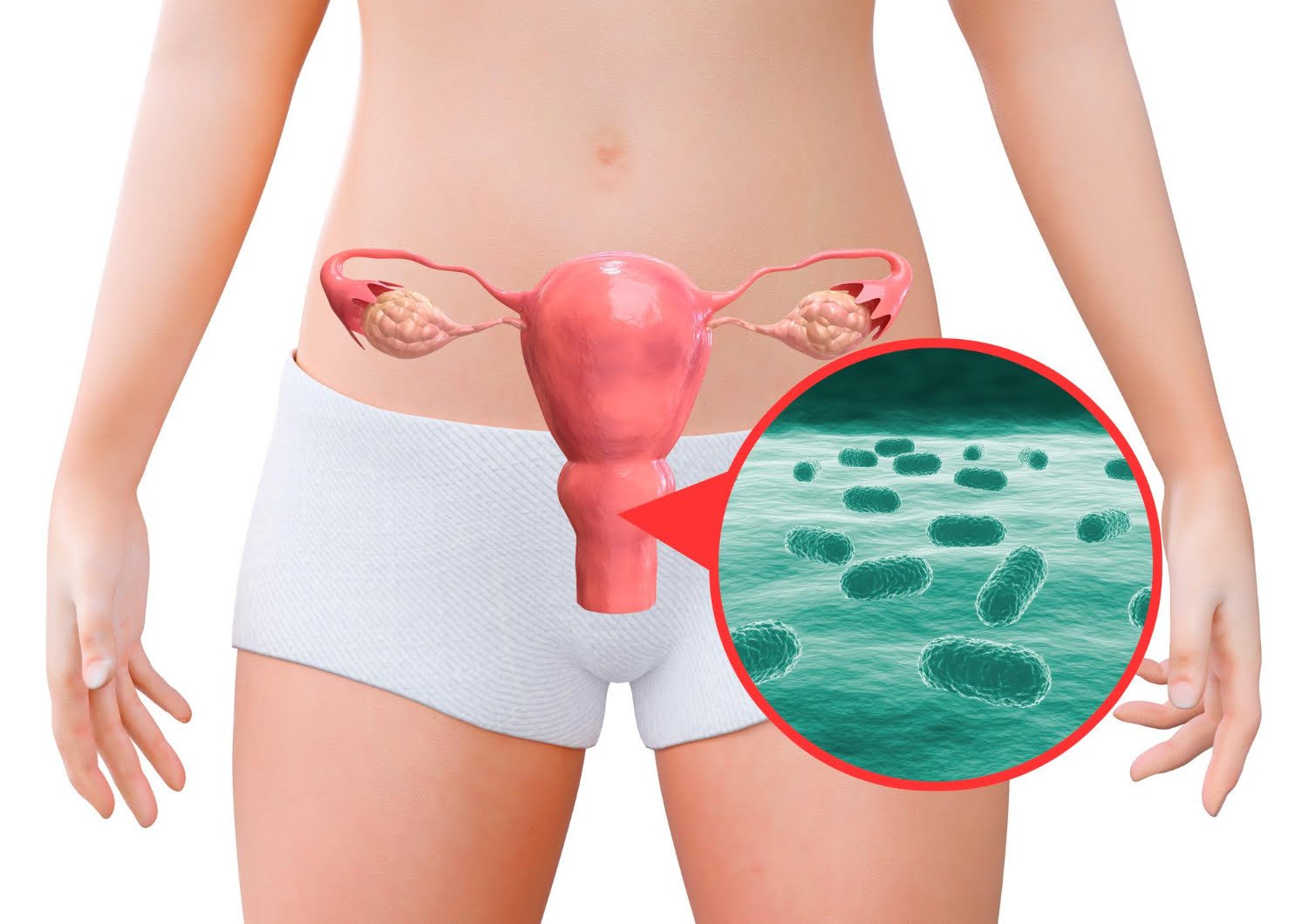 Microbiote vaginal et grossesse : ce que la science relie à l’accouchement prématuré