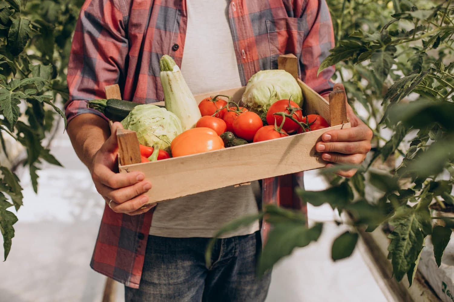 Les 7 avantages formidables d’une alimentation locale