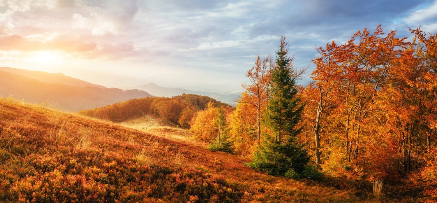 Automne: 13 conseils et astuces pour vaincre la dépression saisonnière
