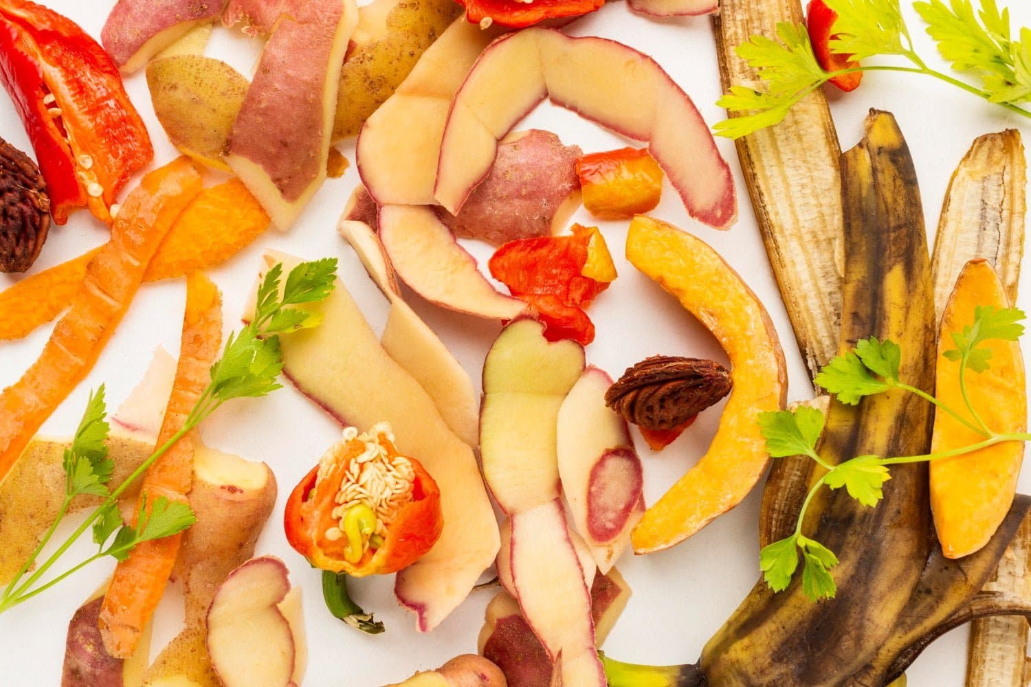 15 conseils et astuces pour réduire son gaspillage alimentaire