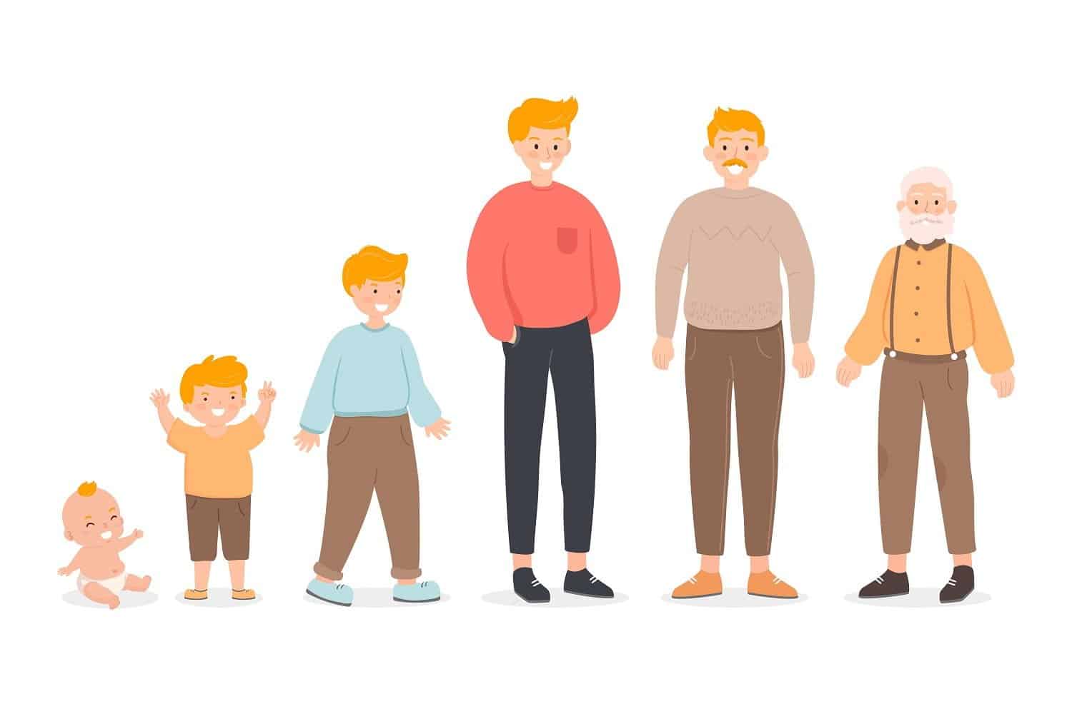 A quel âge cesse-t-on de grandir ?