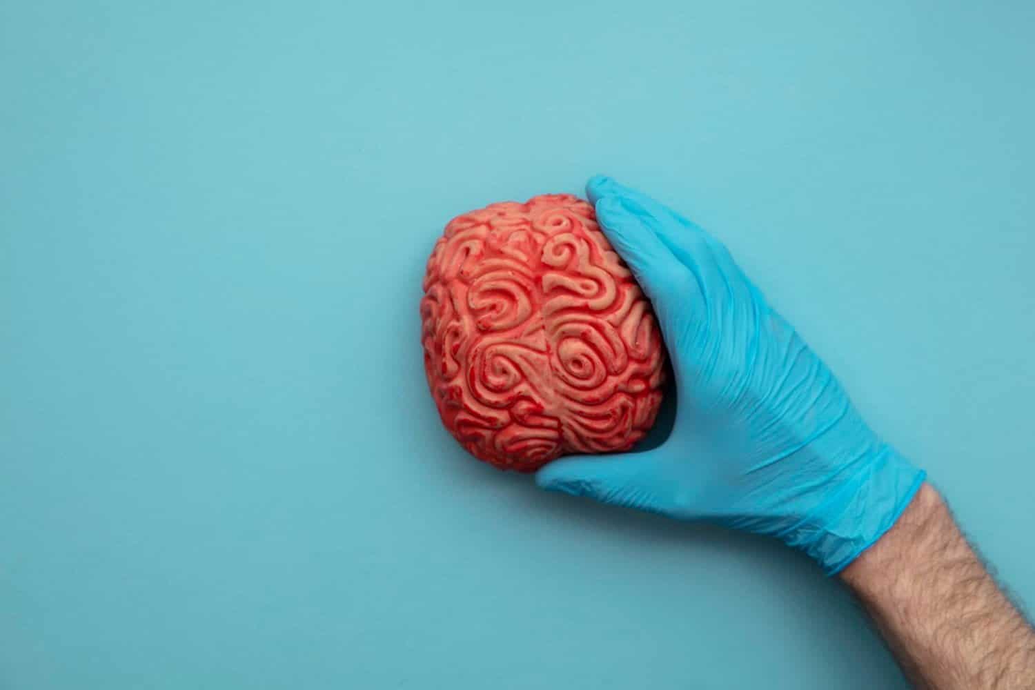 Déclin cognitif: manger des fruits et légumes colorés réduit le risque de plus de 20%